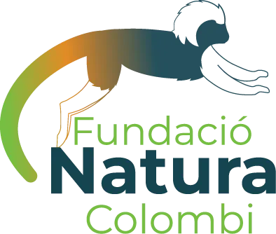 Carrera Verde 2026 – XI Edición Bogotá